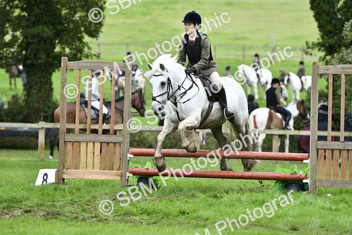 SBM_42282 - S32 - Mountain & Moorland Working Hunter Pony