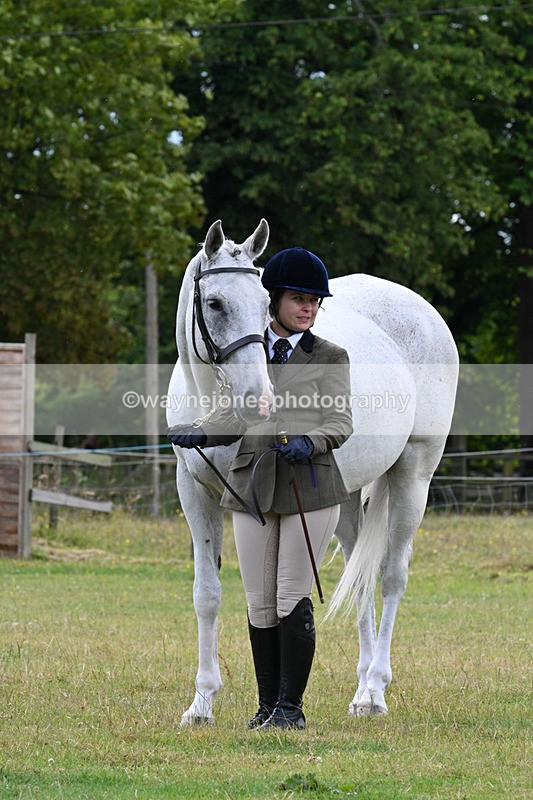 WJ7_7212 - Class 5a Most Handsome Gelding in Hand
