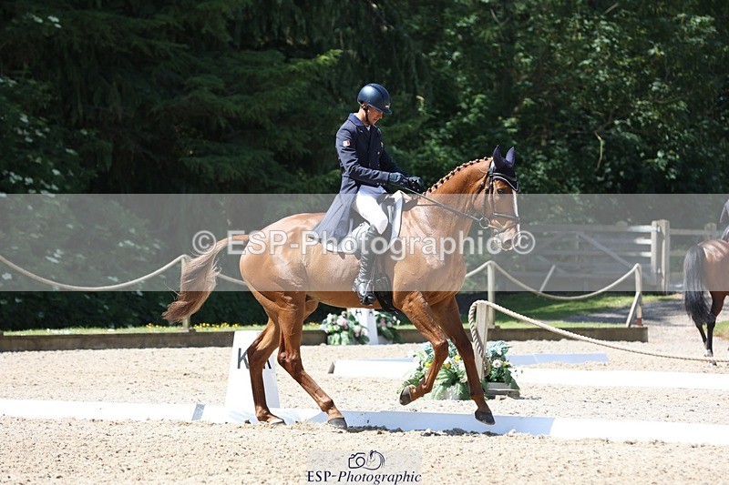 230526-114818-06115 - 156-JUST_PERFECT-Gaspard_Maksud-WEDTrotUp+DR