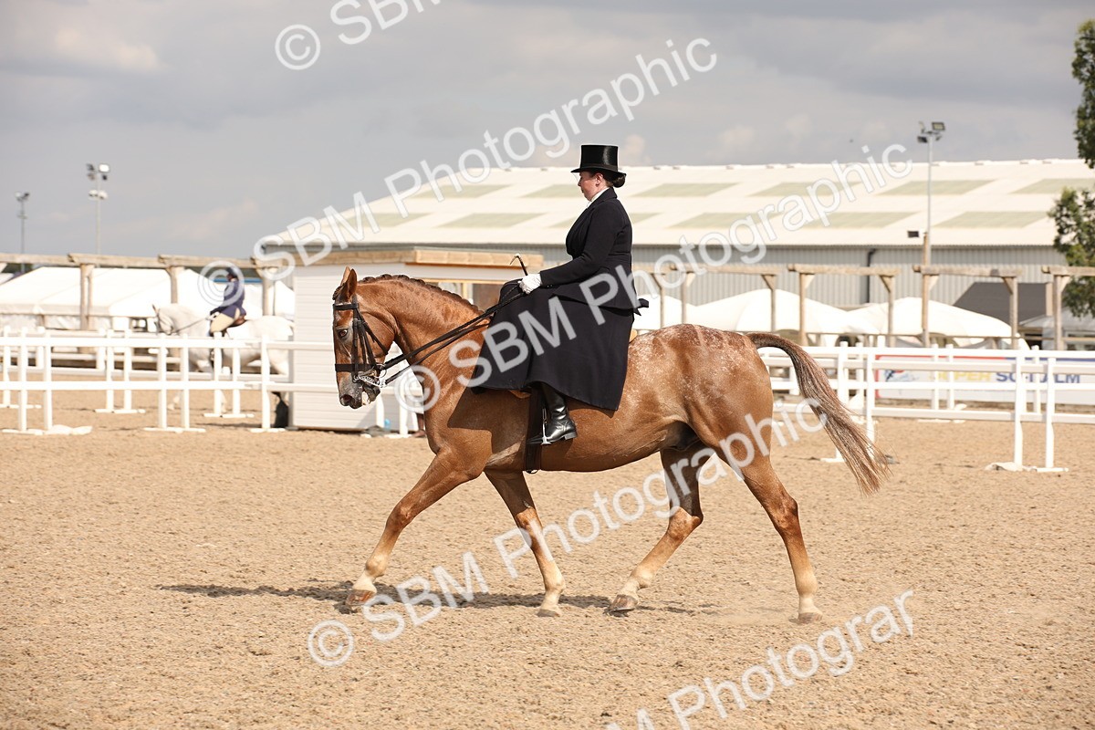 SBM_06746 - Class 24 Concours d'elegance