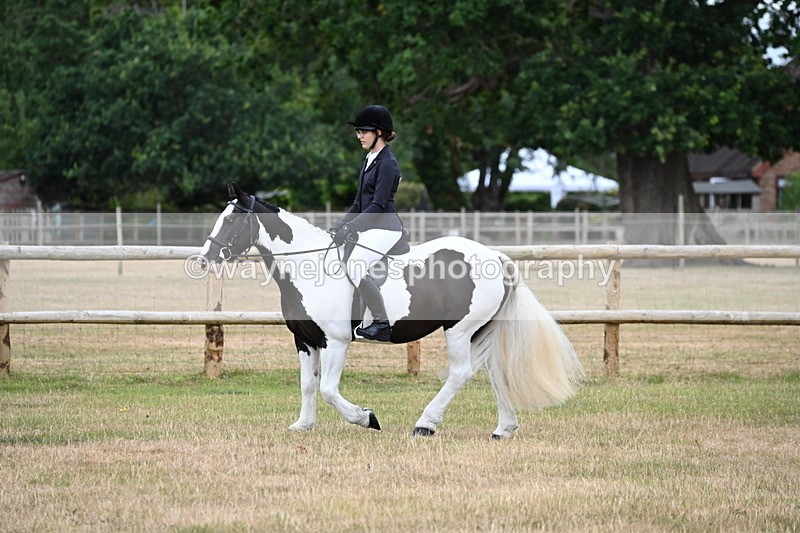 WJ6_3793 - Class 9 Tack & Turnout