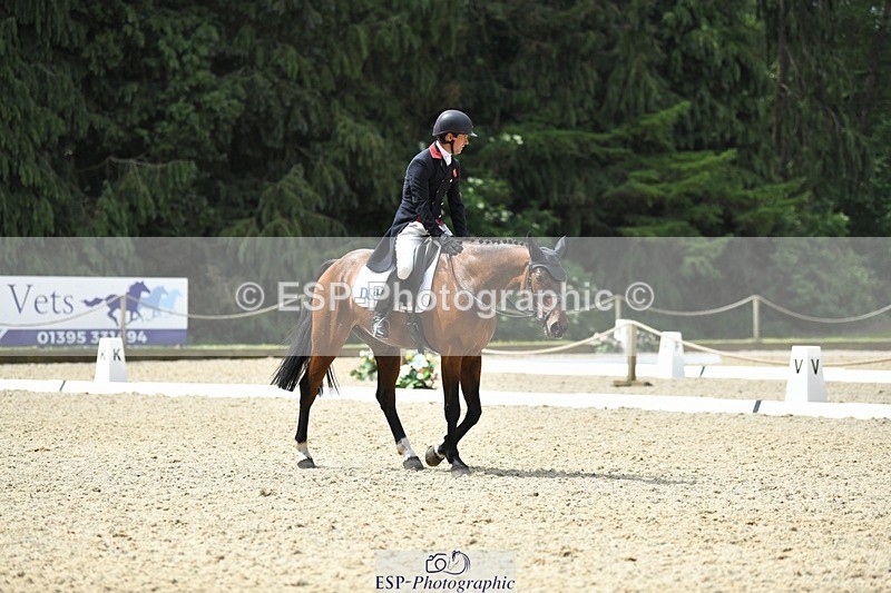 230525-115503-01925 - 104-GALAKIS_DE_L'OCEAN-Harry_Meade-WEDTrotUp+DR
