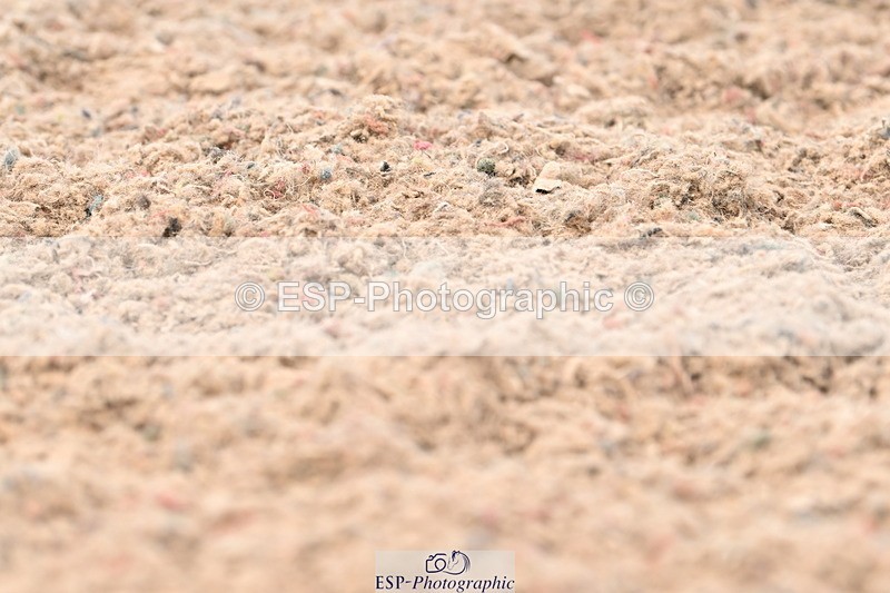 240621A-122328-02119 - Cls 7 BD Elementary 45