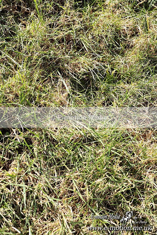 PR 010325 185 - Pony Racing from Beaufort Races Didmarton 01/03/25