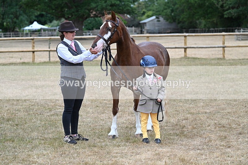 WJ7_9345 - Prettiest Mare Champs