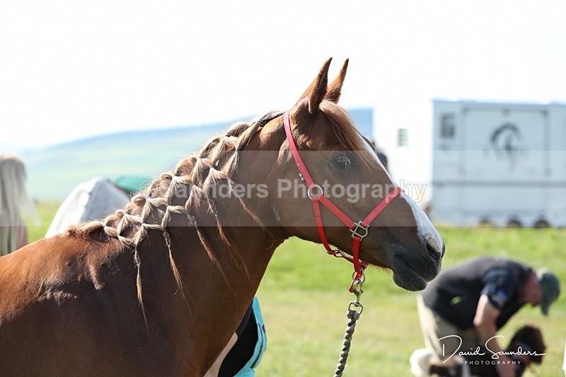 SPXX0054 - Friday vetting
