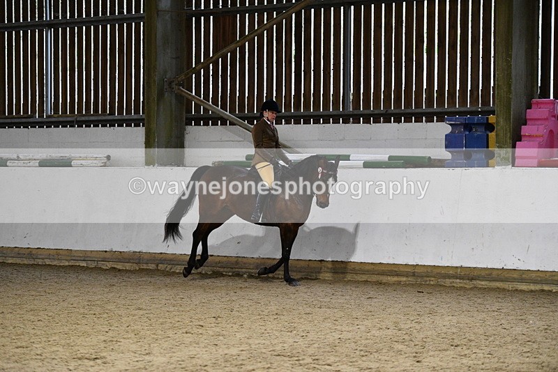WJ5_8846 - Class 15 Ridden Show Horse