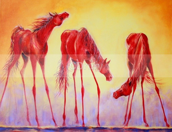 RH05092 Carefree - Horses and Cowgirls