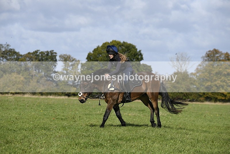 _DSC6720 - Time 11:23 to 12:05