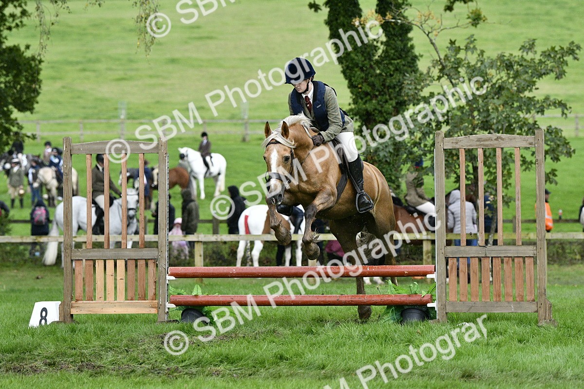 SBM_42243 - S32 - Mountain & Moorland Working Hunter Pony