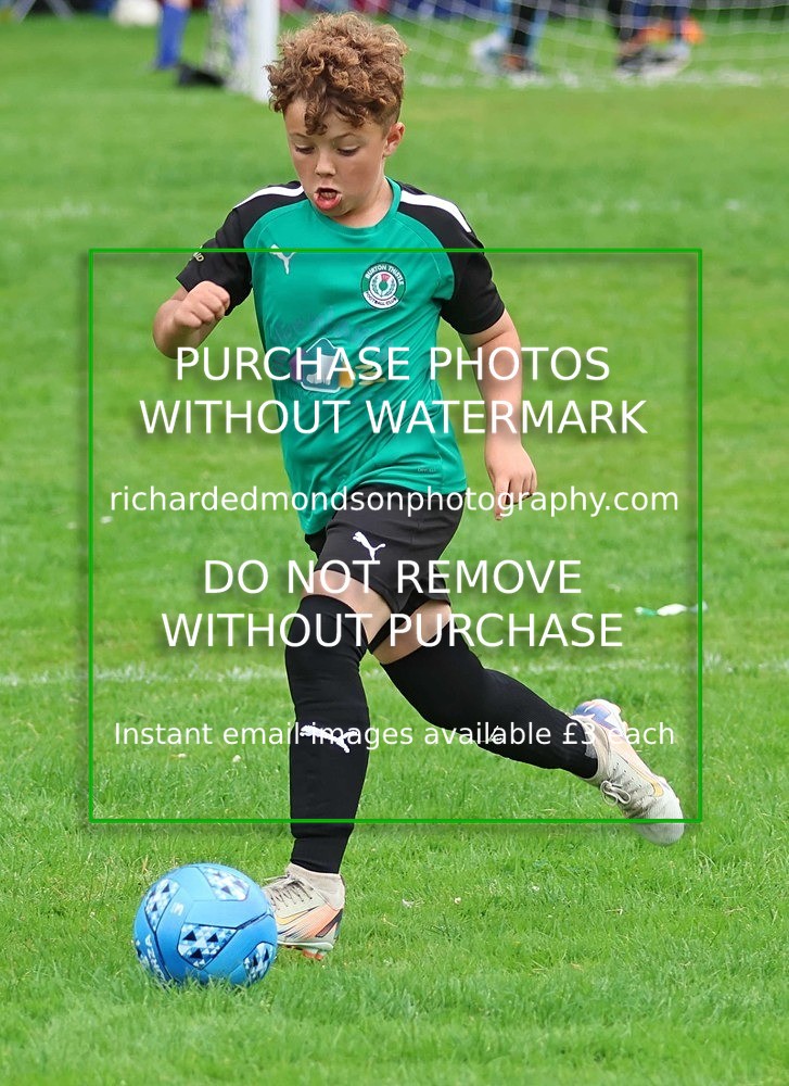 533A7928 - Burton Thistle