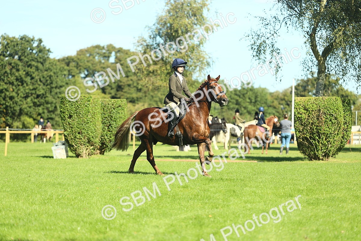 SBM_39149 - S29 - Novice & Newcomers Working Hunter Pony