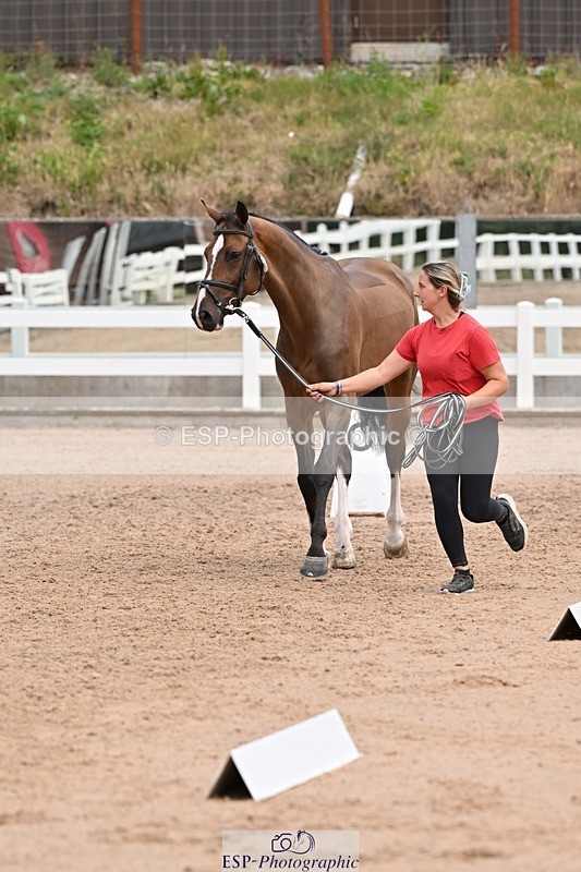 250716-142810-01098 - Trot Up 1.30 to 2.30