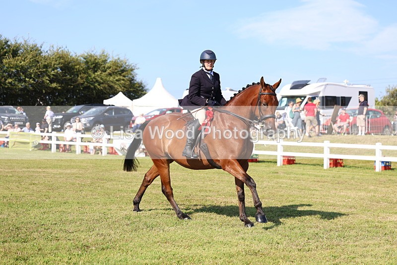 3E7A5746 - Class 2: Rising Star Large Hack/Riding Horse