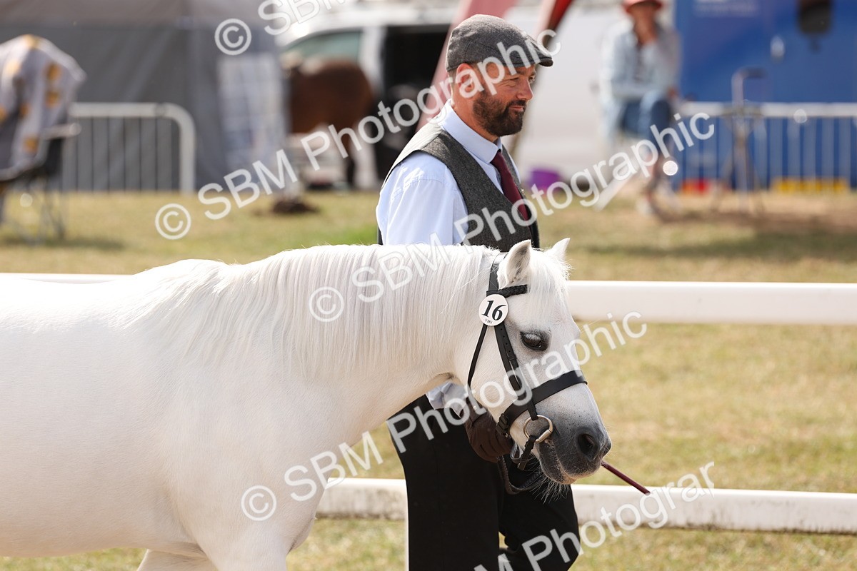 SBM_15014 - Class 209 - IH Veteran Pony