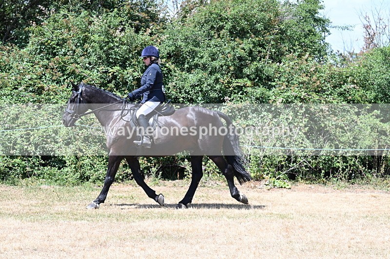 WJ7_2749 - Class 7 Riding Club Show Horse