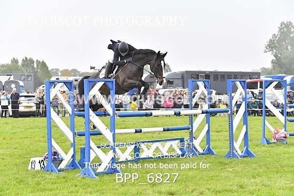 BPP_6827 - CLASS 2 RHS Classic Champ Qual (1.20m)