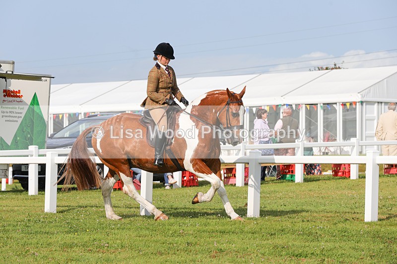 1X9A3118 - Class 27:  Ridden Native/Trad Coloured Horse