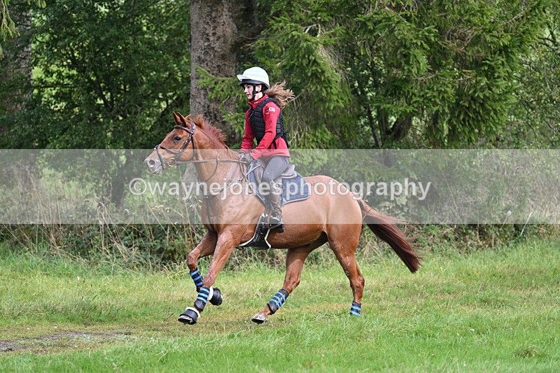 WJ7_7843 - Time 13:50 to 14:03