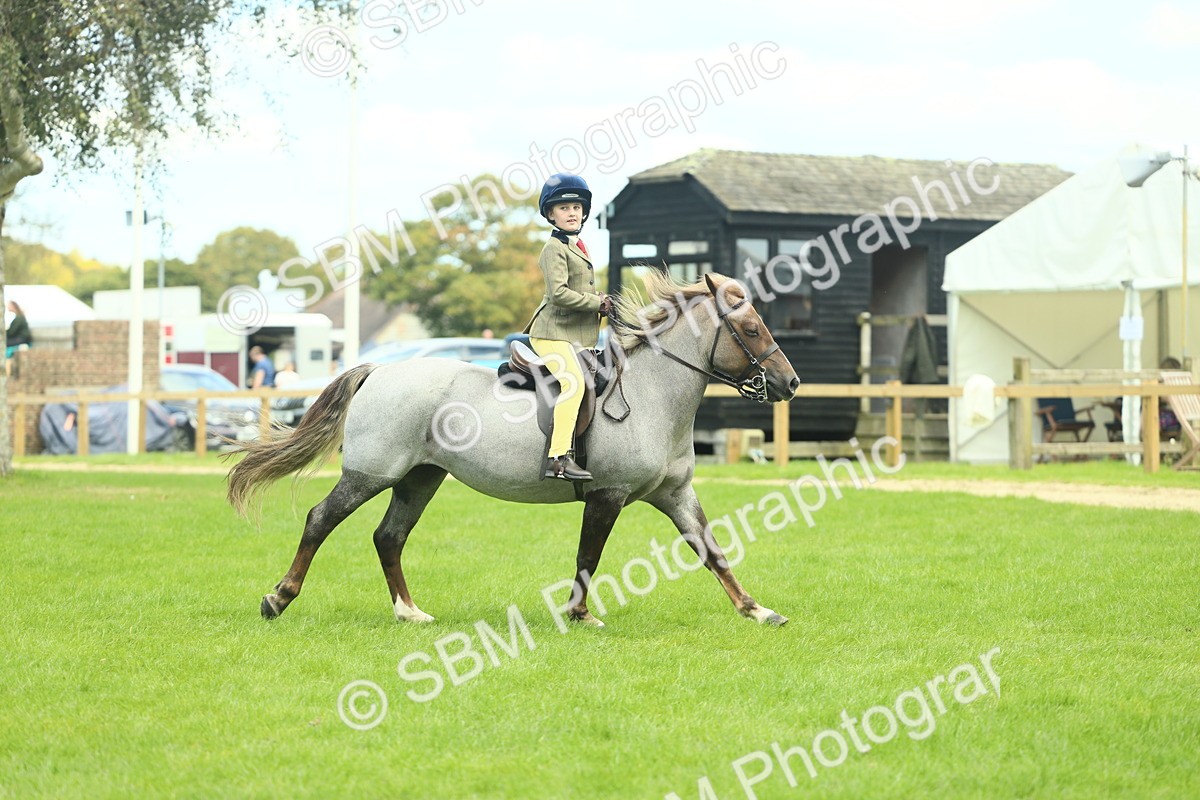 SBM_42769 - S30 - M&M Working hunter Pony