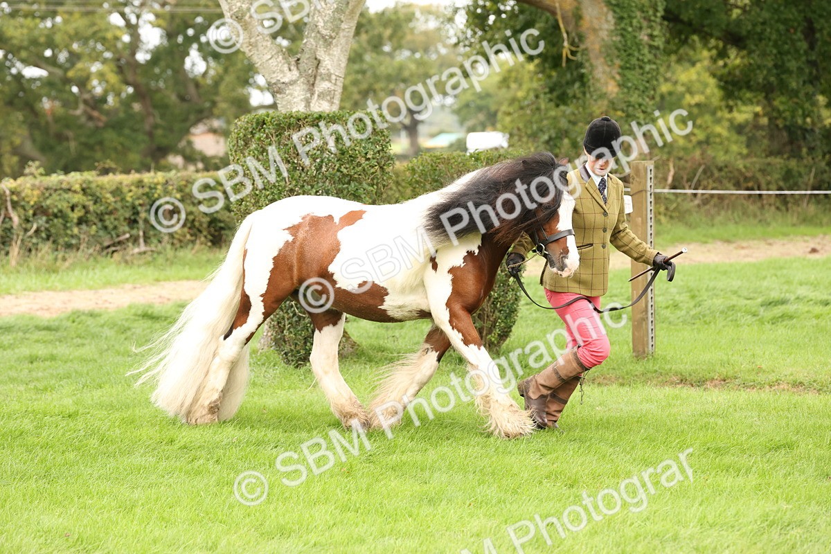 SBM_59270 - S57 - Traditional Cob In Hand