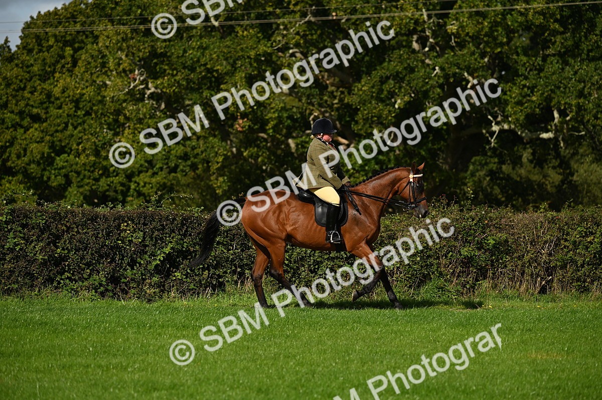 SBM_01464 - S2 - TSR Ridden Horse Showing
