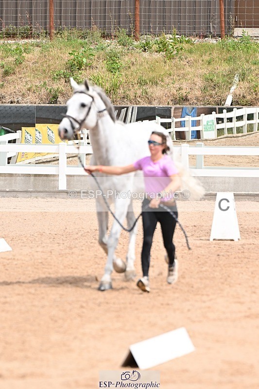 250716-142549-01081 - Trot Up 1.30 to 2.30