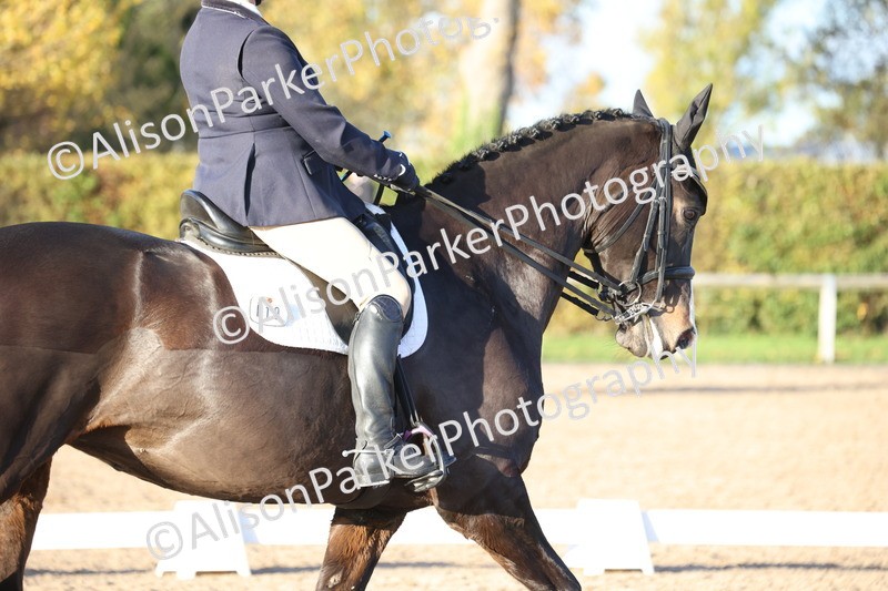 20251102-1367 - Class 10 - Advanced Medium 4