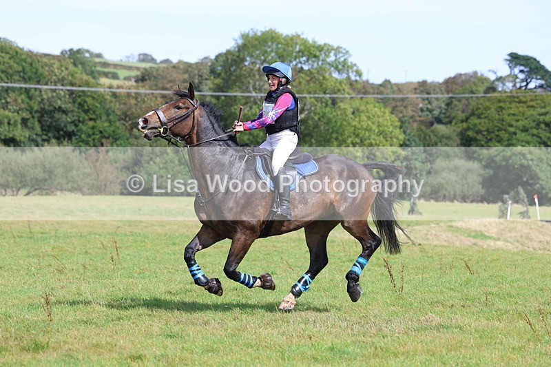3E7A6887 - Class 2: Trekenning Open: Yellow Boat