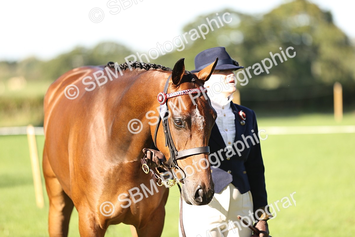 SBM_15758 - S1 - TSR in Hand Horse & Pony Showing