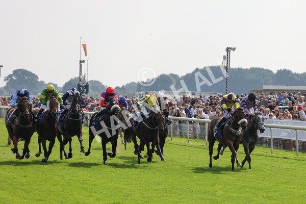 yr05092021r2-21 - Race 2 2.40pm John and Judith Marshall Memorial Stakes