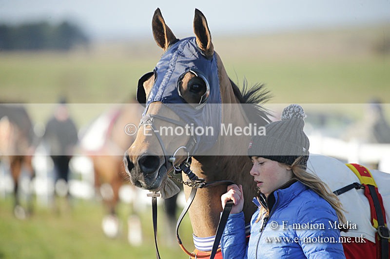 PtP 011219-0038 - Hursley Hambledon Hunt Point-to-Point 01/12/19