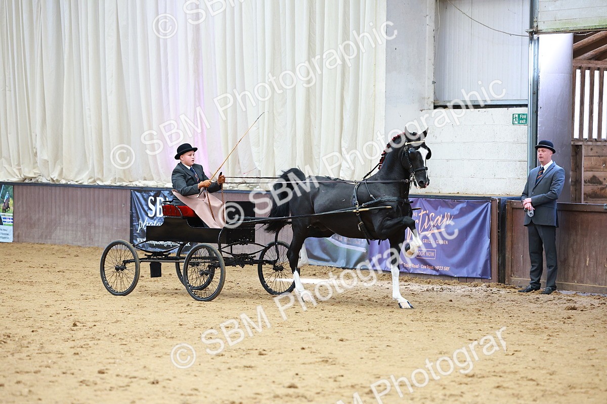 SBM_001003 - Class 13  - HHS Championship Intl Hackney Horse to a Show Wagon
