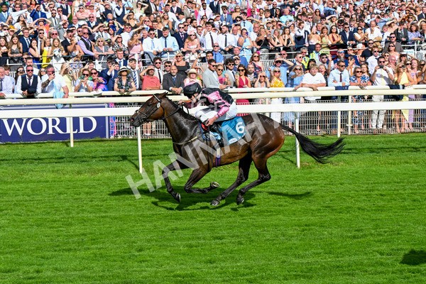 280625-Race 7-Titian-0647 - Race 7 5.25pm Al Basti Equiworld Dubai Amateur Jockeys' Handicap