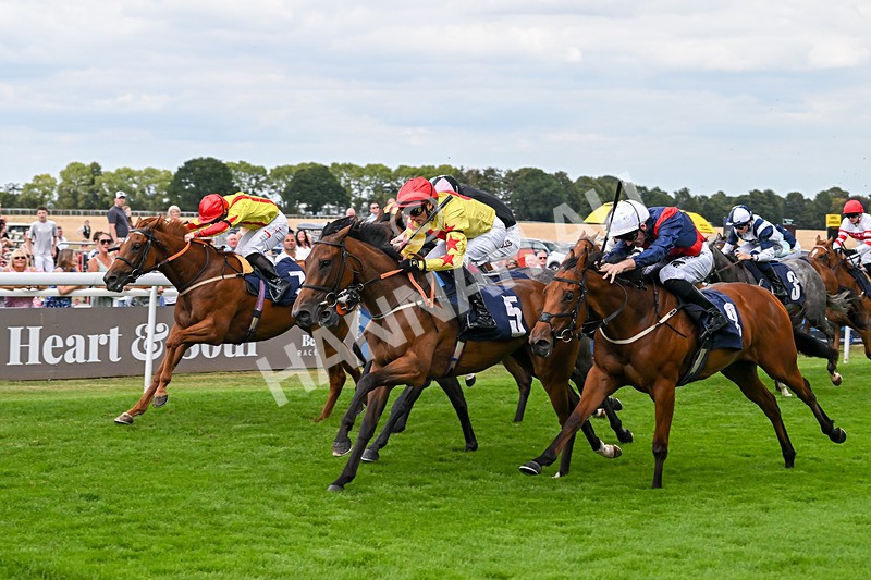 140825-Race 3-Rum Therapy-1051 - Race 3