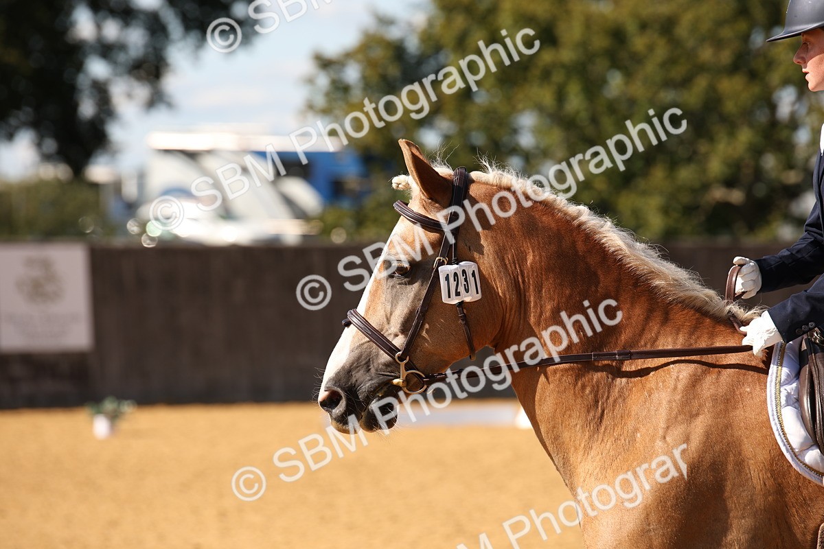 SBM_24250 - D5 - Small Tour Championship - Intro C
