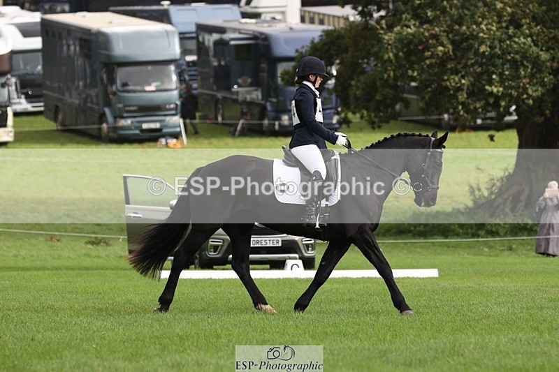 231019-103022-02337 - 414-LAMBORO.SPARKY-Lucy.Jowett-DR