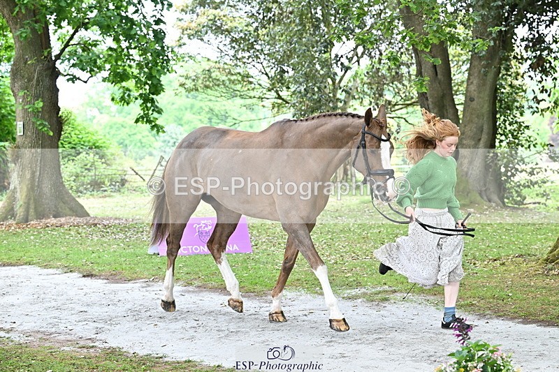 250521A-144358-00198 - A-057-Tabitha.Moore-BILLY.HOODOOS