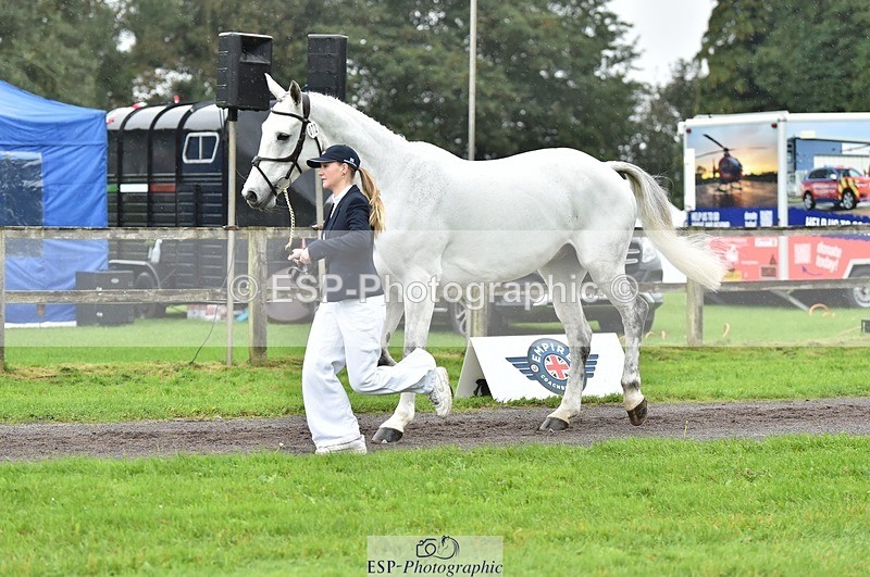 231018-125122-00569 - 072-CARROW.IROKO-Alice.England-TrotUp