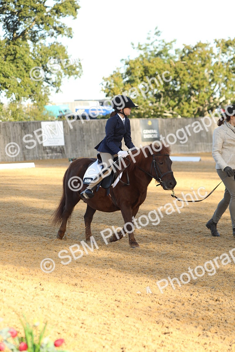 SBM_33620 - D26 - Starers - Lead Rein