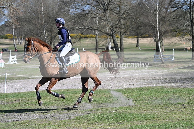 WJ7_2217 - XC Time 14:39 to 14:53