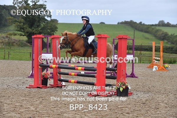 BPP_8423 - CLASS 3 Pony BritiNovice / 0.80m Open