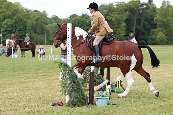 IMG_2794 - Working Hunter