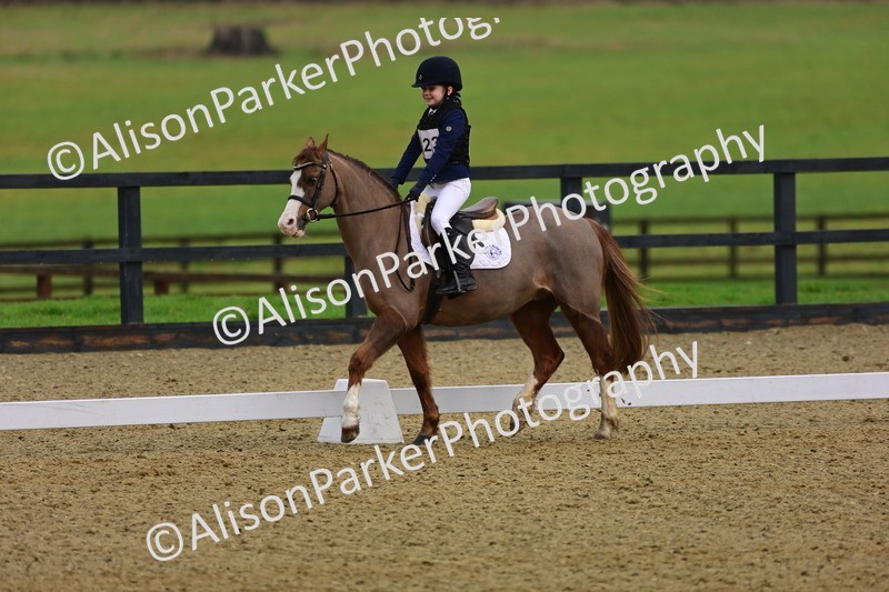 20260125-0666 - Class 9b - Walk Trot Unassisted