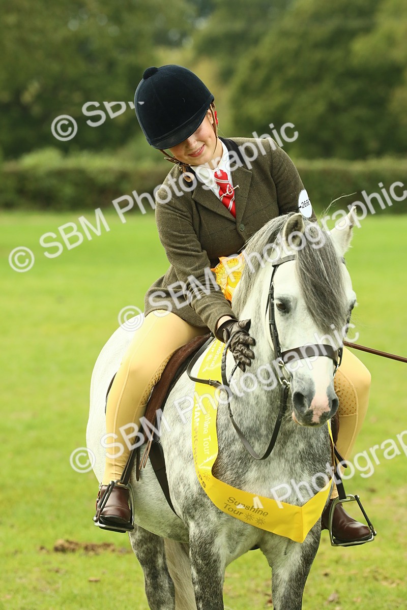 SBM_70037 - S59 - Mountain & Moorland Ridden Small Breeds