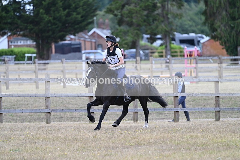 WJ7_0726 - 60cm Time 12:26 to 12:46