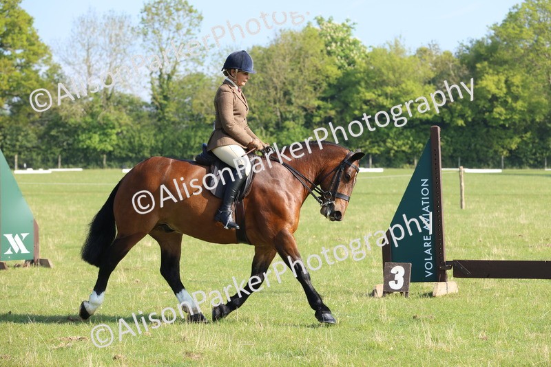 20250427-0541 - Class 17 - Novice Showing