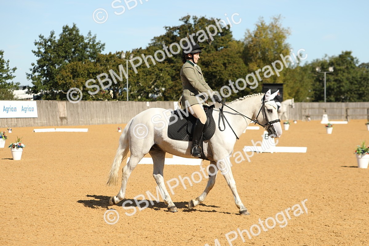 SBM_18696 - D10 - Small Tour Championship - Prelim 2