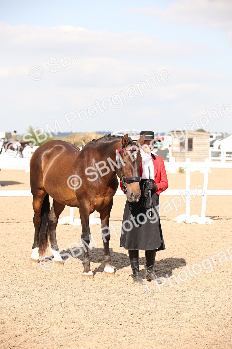 SBM_07402 - Class 26 IH Foreign Breeds -Part bred