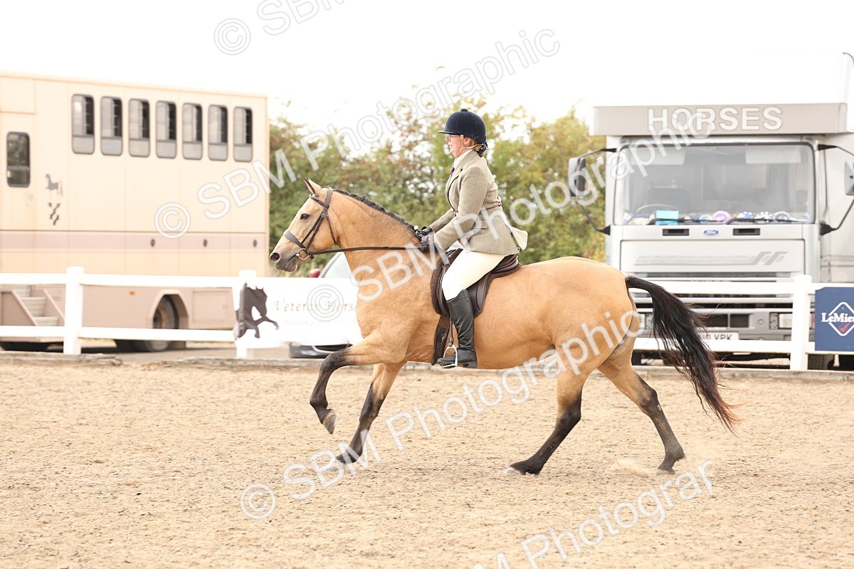 SBM_06757 - Class 58a -  Style & Performance - 70cm (15-19)